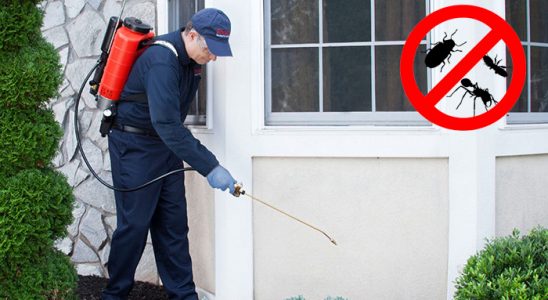 Sivrihisar Kemirgen İlaçlama böcek ilaçlama ve haşere kontrolü — ilaclama-tr.com